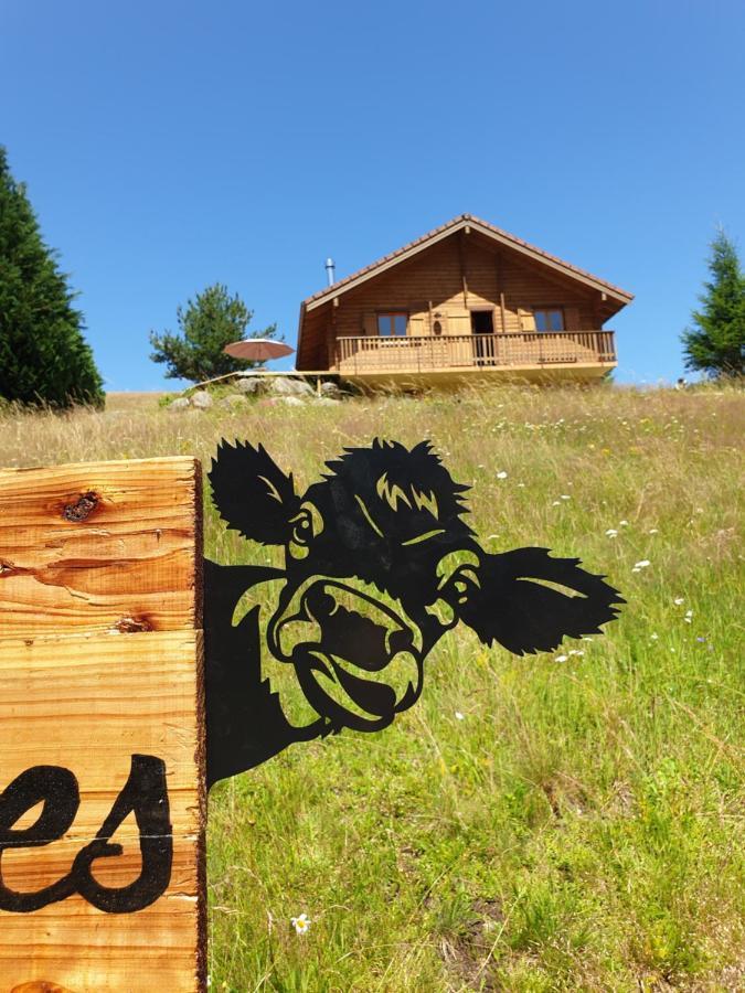 Chalet Les Vosgiennes Le Valtin Bagian luar foto